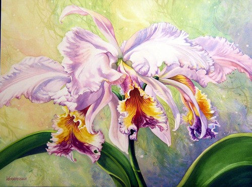 Orchid Paintings