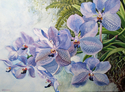 Orchid%3A%20Blue%20Vanda (thumbnail)